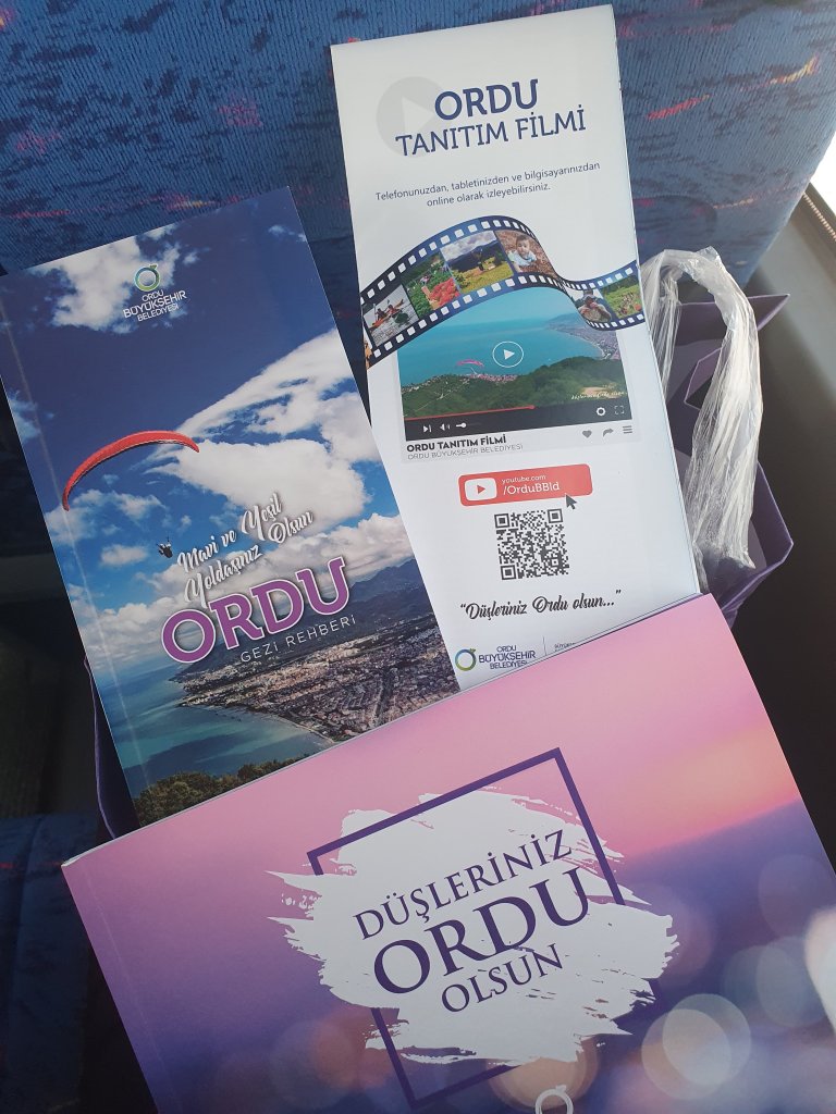 Ordu'ya gezmek için geldiğimi falan kuruyorum kafamda arada ...